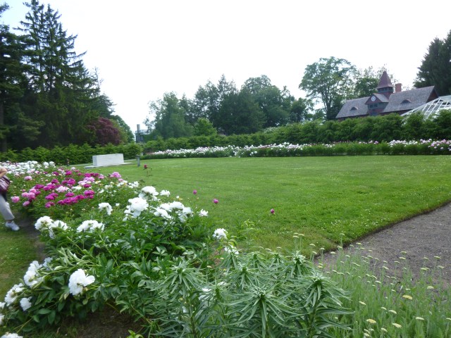 Rose Garden & Graves
