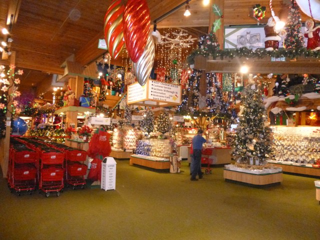 You need a shopping trolley, about the area of BigW in Bega