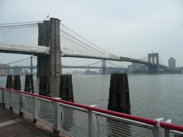 Brooklyn & Manhattan Bridges